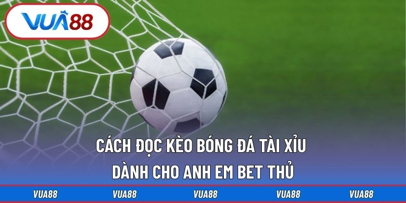 Cách Đọc Kèo Bóng Đá Tài Xỉu